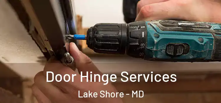  Door Hinge Services Lake Shore - MD
