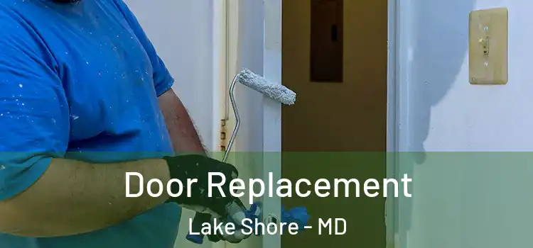  Door Replacement Lake Shore - MD