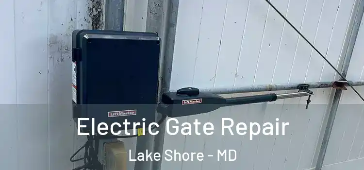 Electric Gate Repair Lake Shore - MD