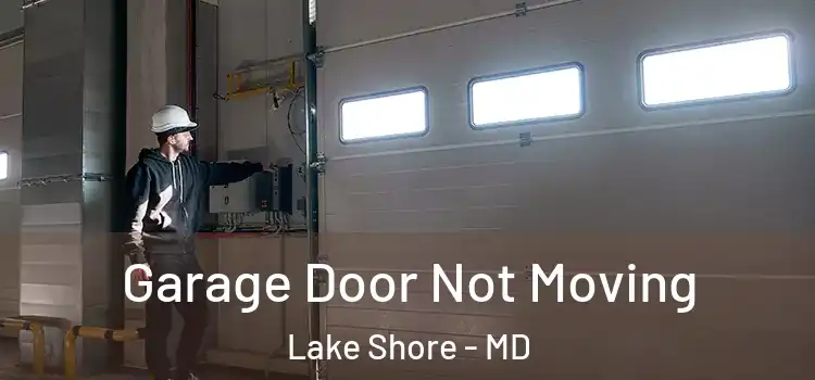  Garage Door Not Moving Lake Shore - MD