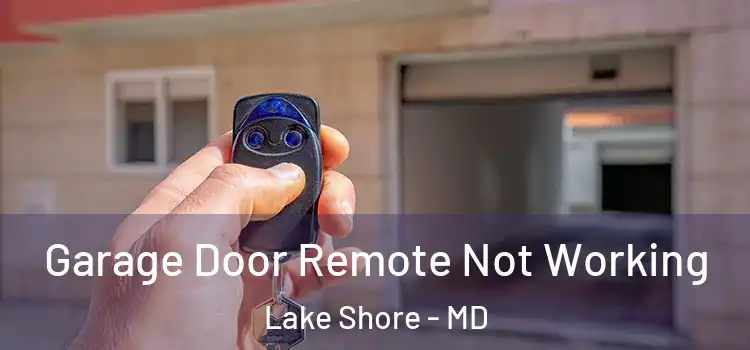  Garage Door Remote Not Working Lake Shore - MD