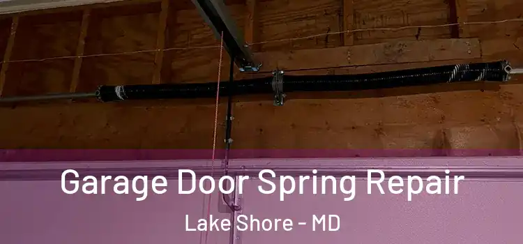  Garage Door Spring Repair Lake Shore - MD