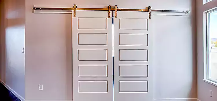 Glass Barn Door with Installation Hardware Kit Lake Shore