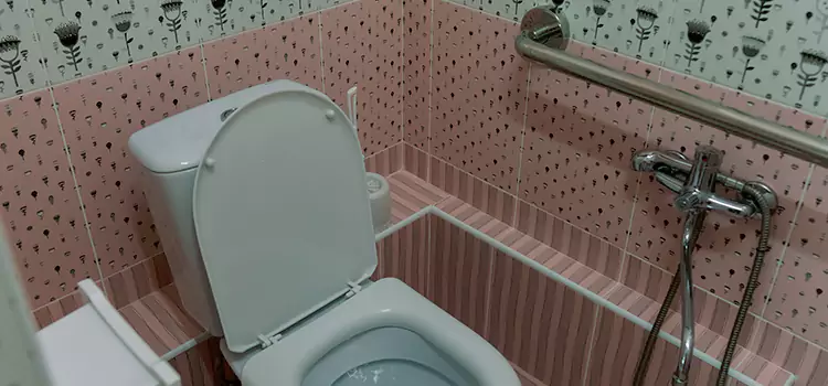 Meeting Diverse Needs With Accessible Restroom Solutions in Lake Shore, MD