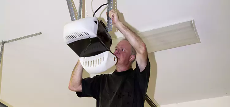 Garage Door Opener Service Lake Shore